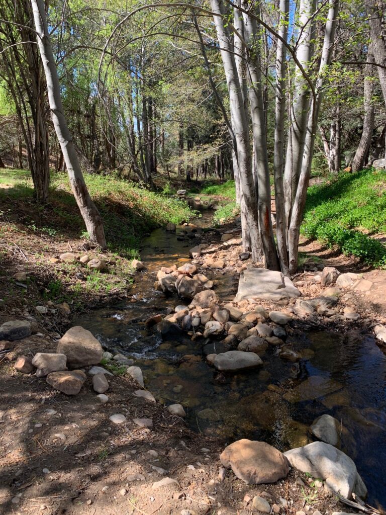 Bonita Creek Stream