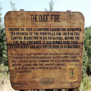 DUDE FIRE INFO-
CLICK TO ENLARGE

